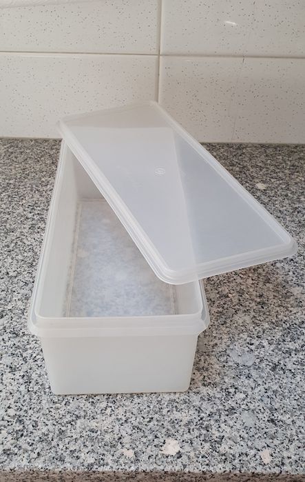 Tupperware grande retangular