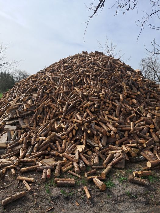 Suche drewno opałowe/kominkowe z transportem