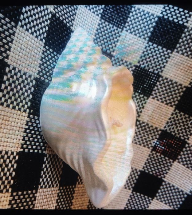 Квитки на концерт/виставу