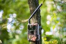 Kamera lesna fotopułapka HC900 myślistwo