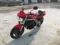 Triumph Speed Triple 955i