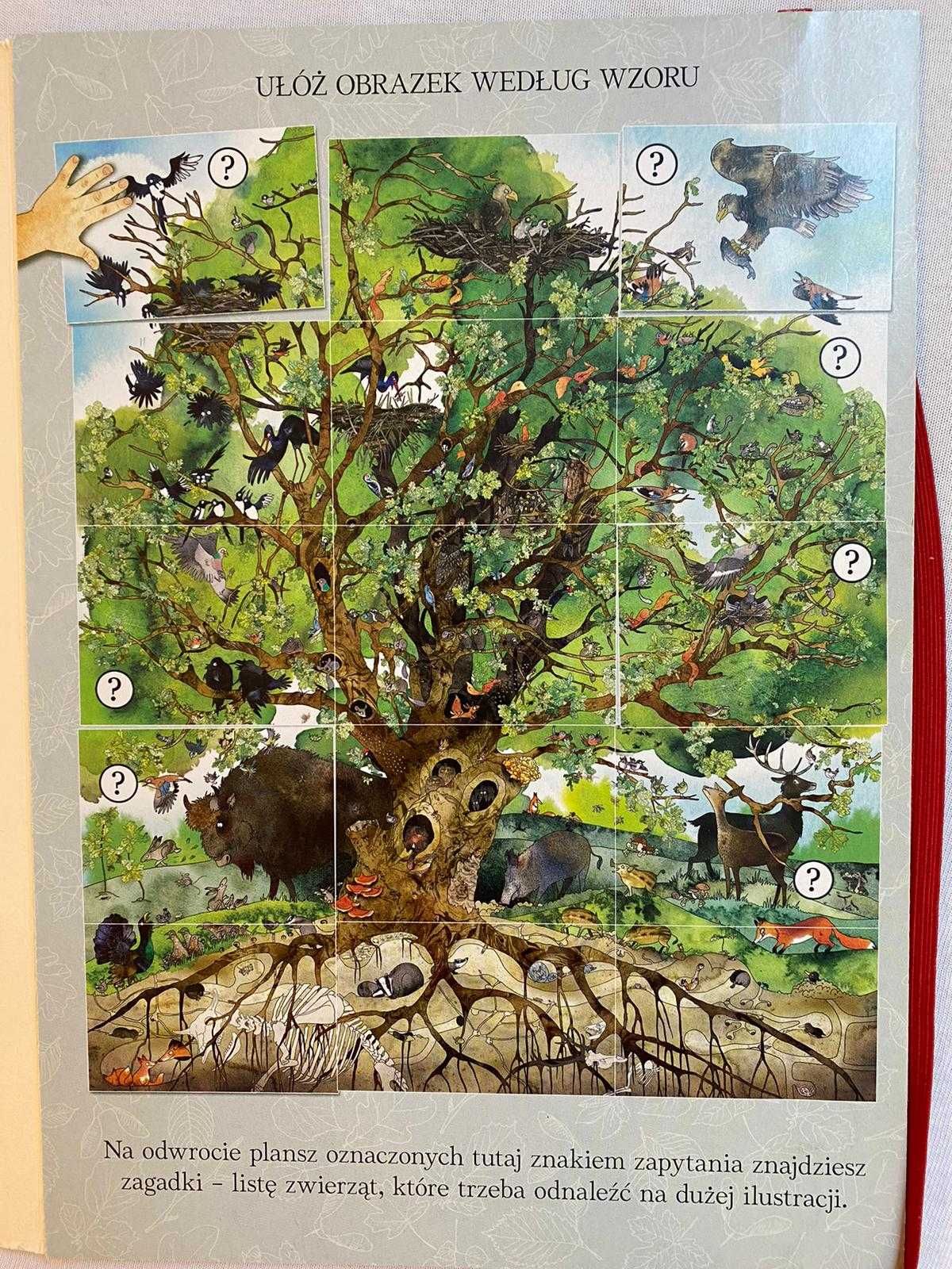 Drzewo - niezwykła książka w formie układanki, Nasza księgarnia