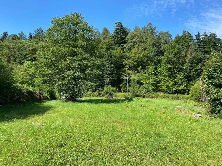 Sprzedam ogrodzoną Działkę przy drodze krajowej 28 w SuchejBeskidzkiej