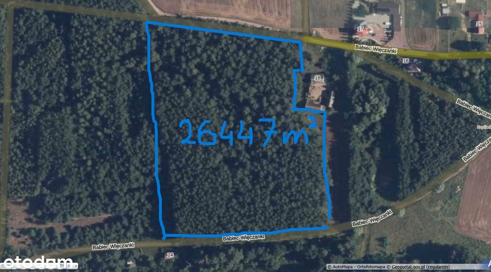 Działka leśna blisko rzeki z ok. 70 letnim drzewostanem