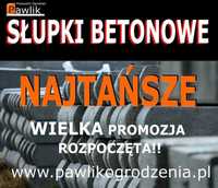 Słupki betonowe do siatki leśnej