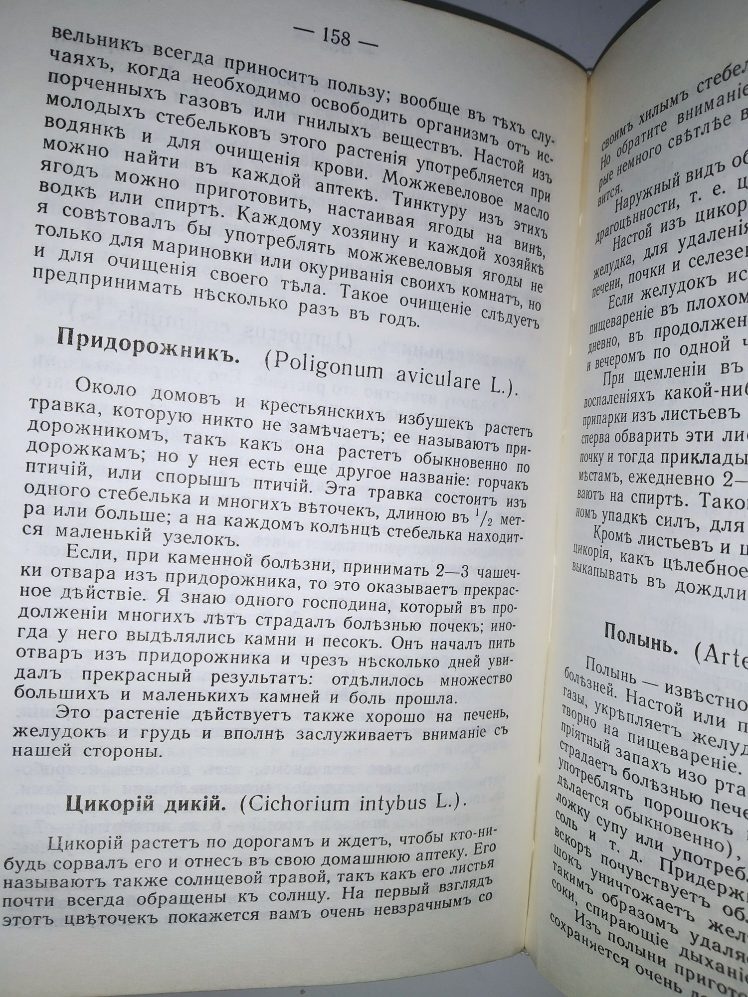 Моё водолечение Севастиан Кнейпп