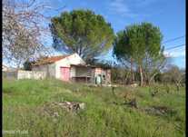 Terreno Olival, Ourém