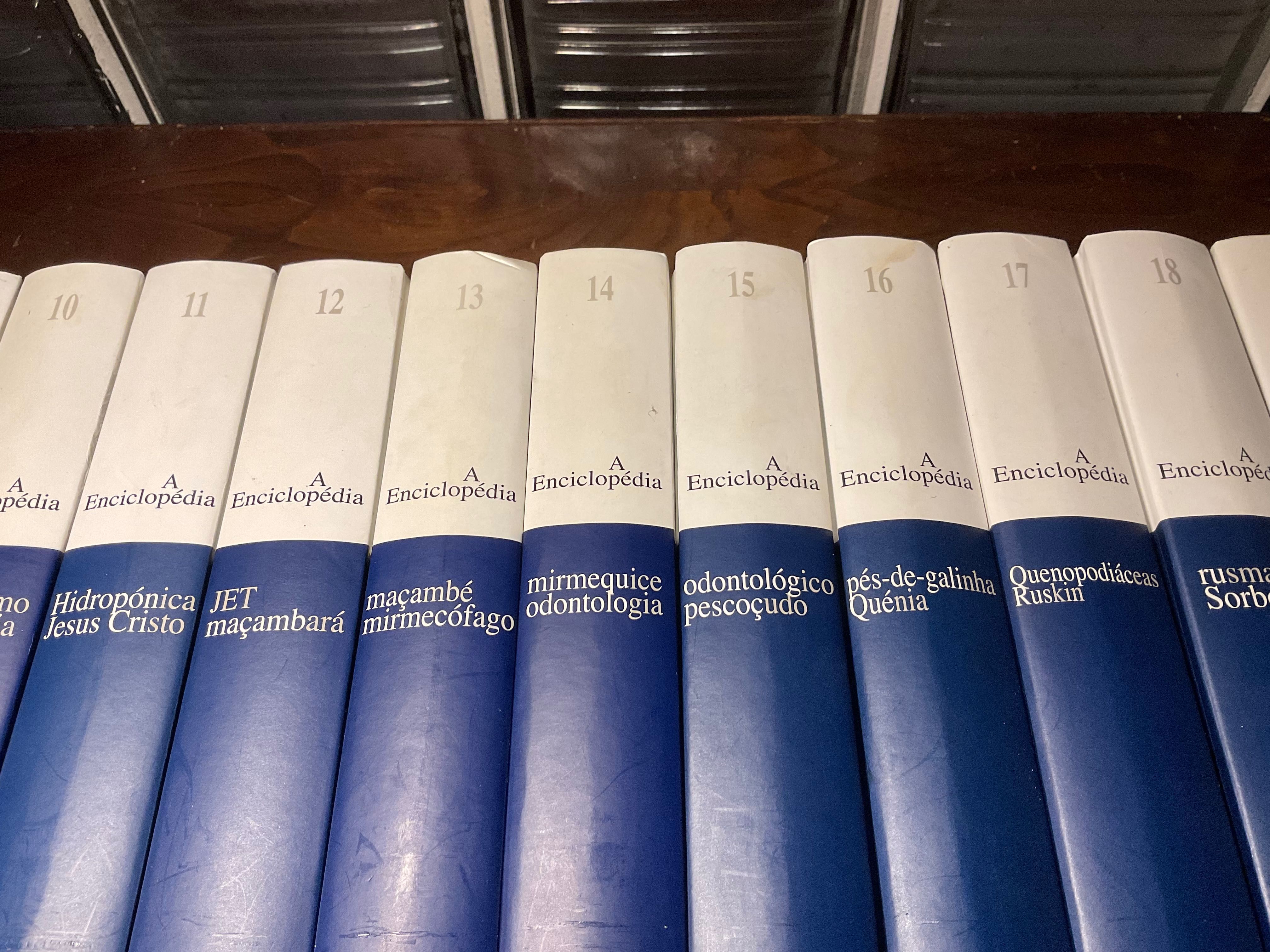 ENCICLOPÉDIA completa (30 Volumes), editada pelo jornal Público.