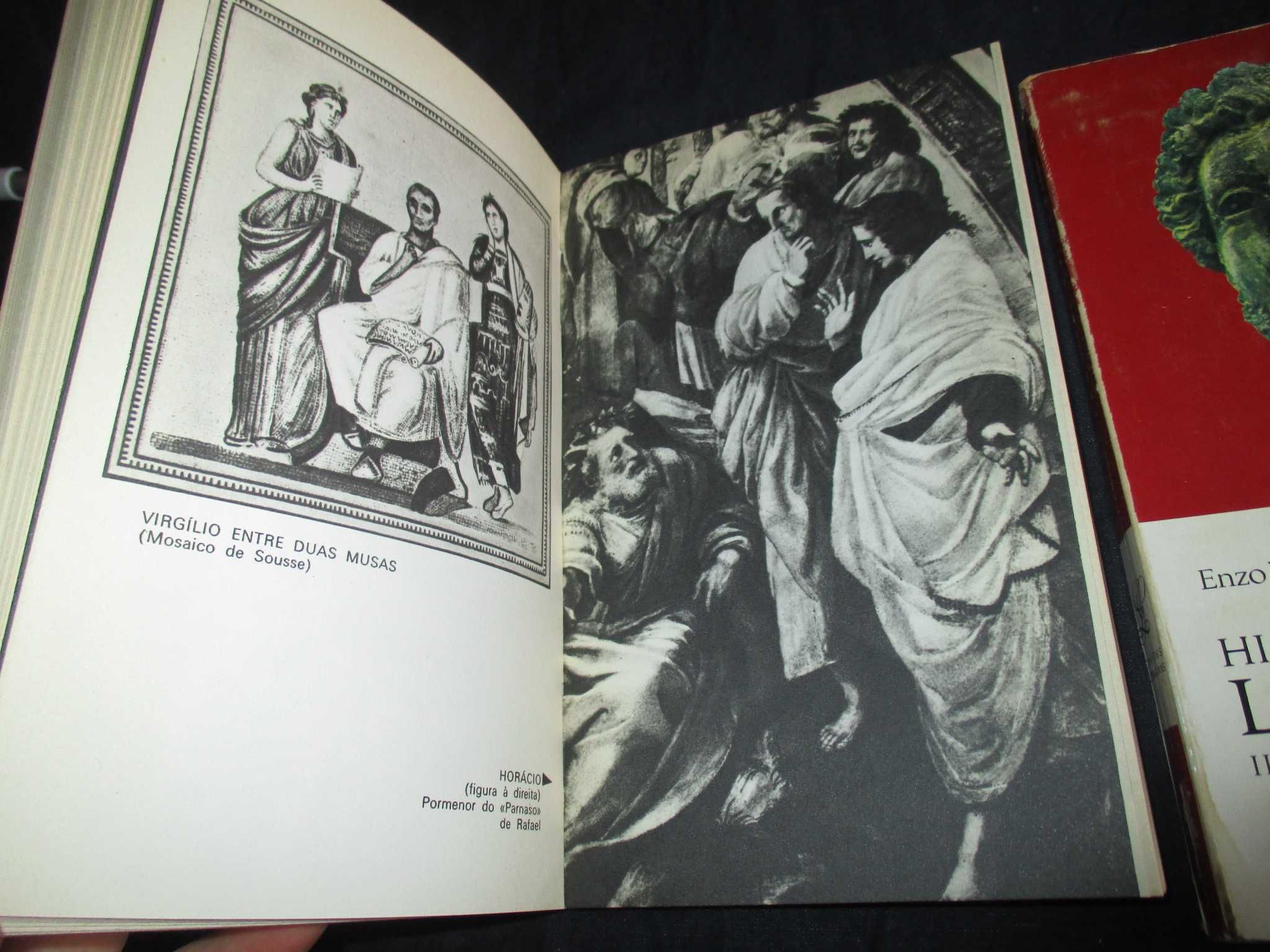 Livros História da Literatura Latina Enzo V. Marmorale