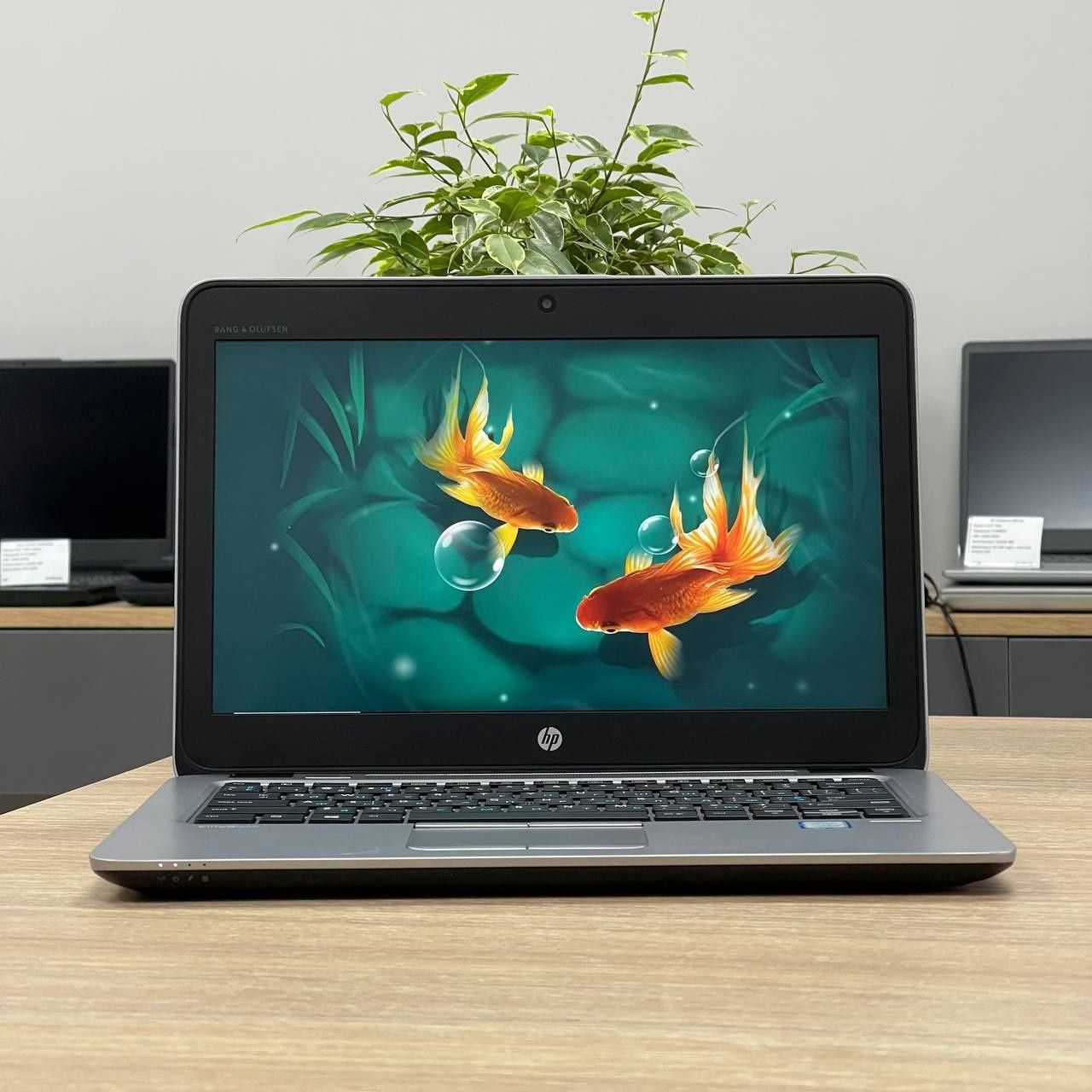 Ноутбук HP 820 g4