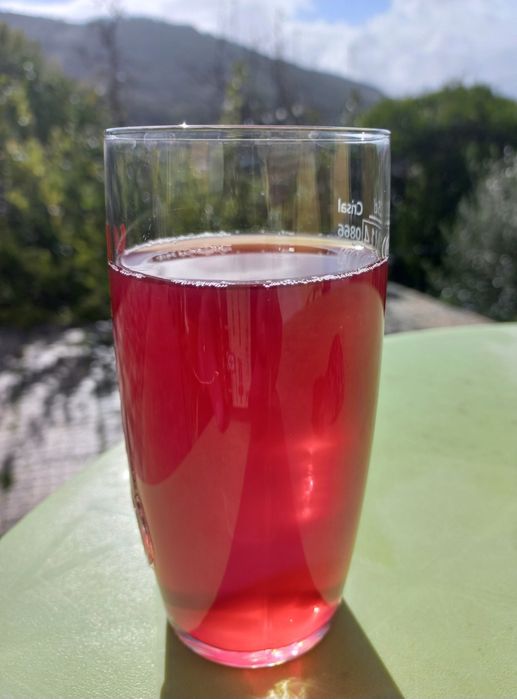 Agua-Pé do produtor