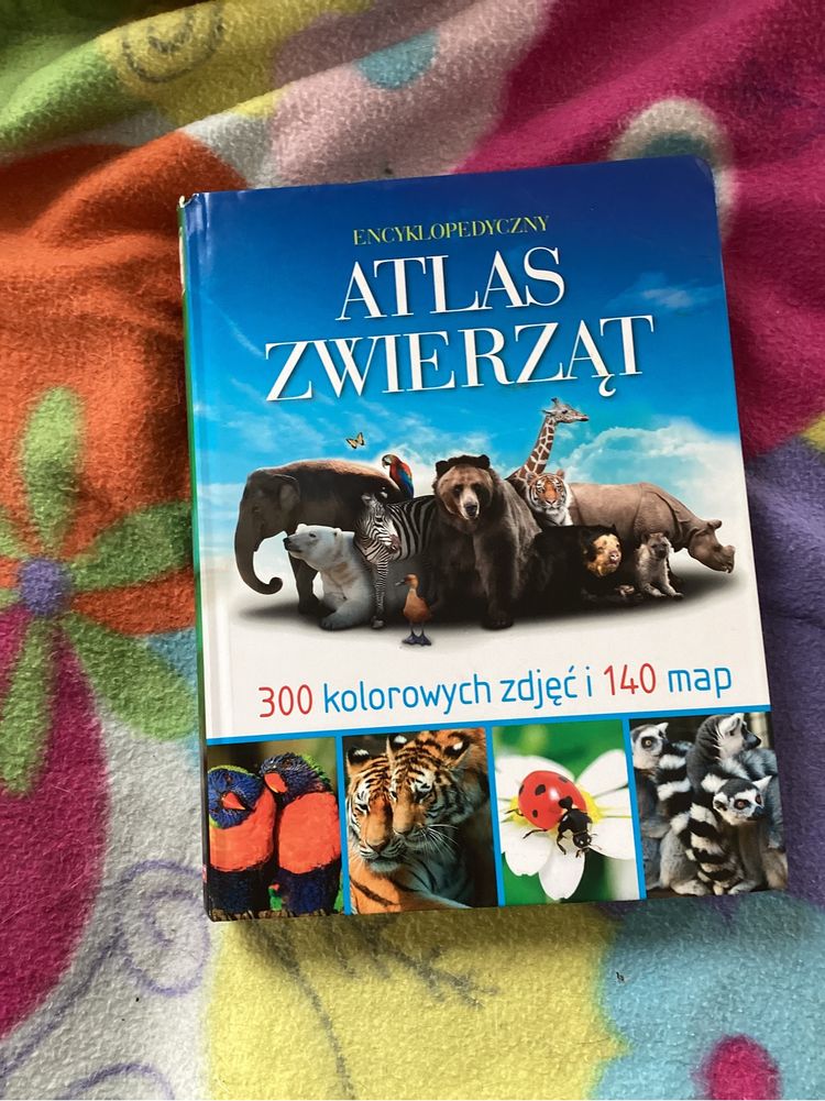 Atlas zwierząt książeczka dla dzieci