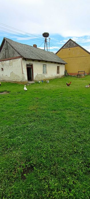 Sprzedam działkę rolną z zabudowaniami