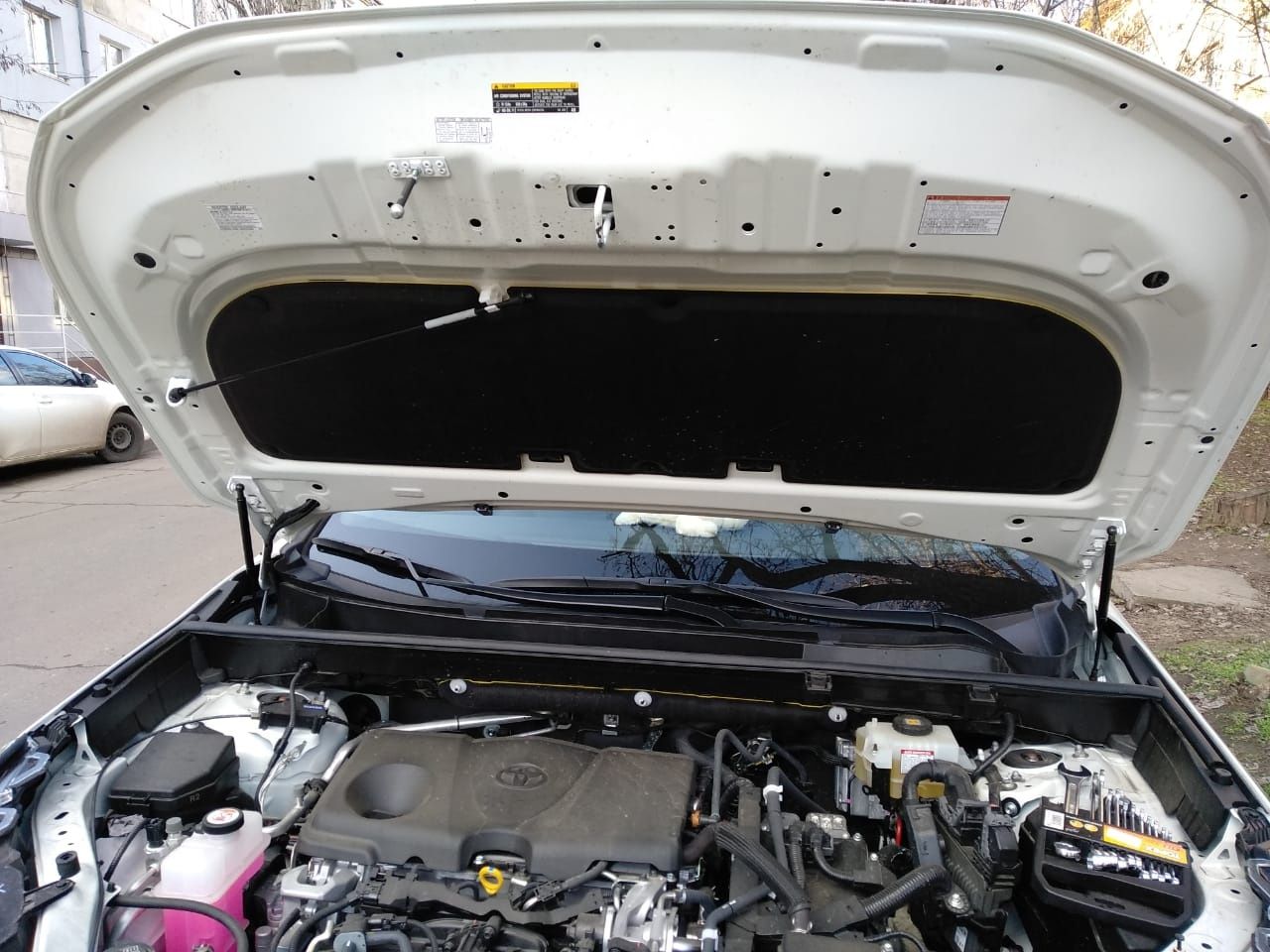 гідравлічні упори (штоки) капоту для Toyota RAV4 2014-2025