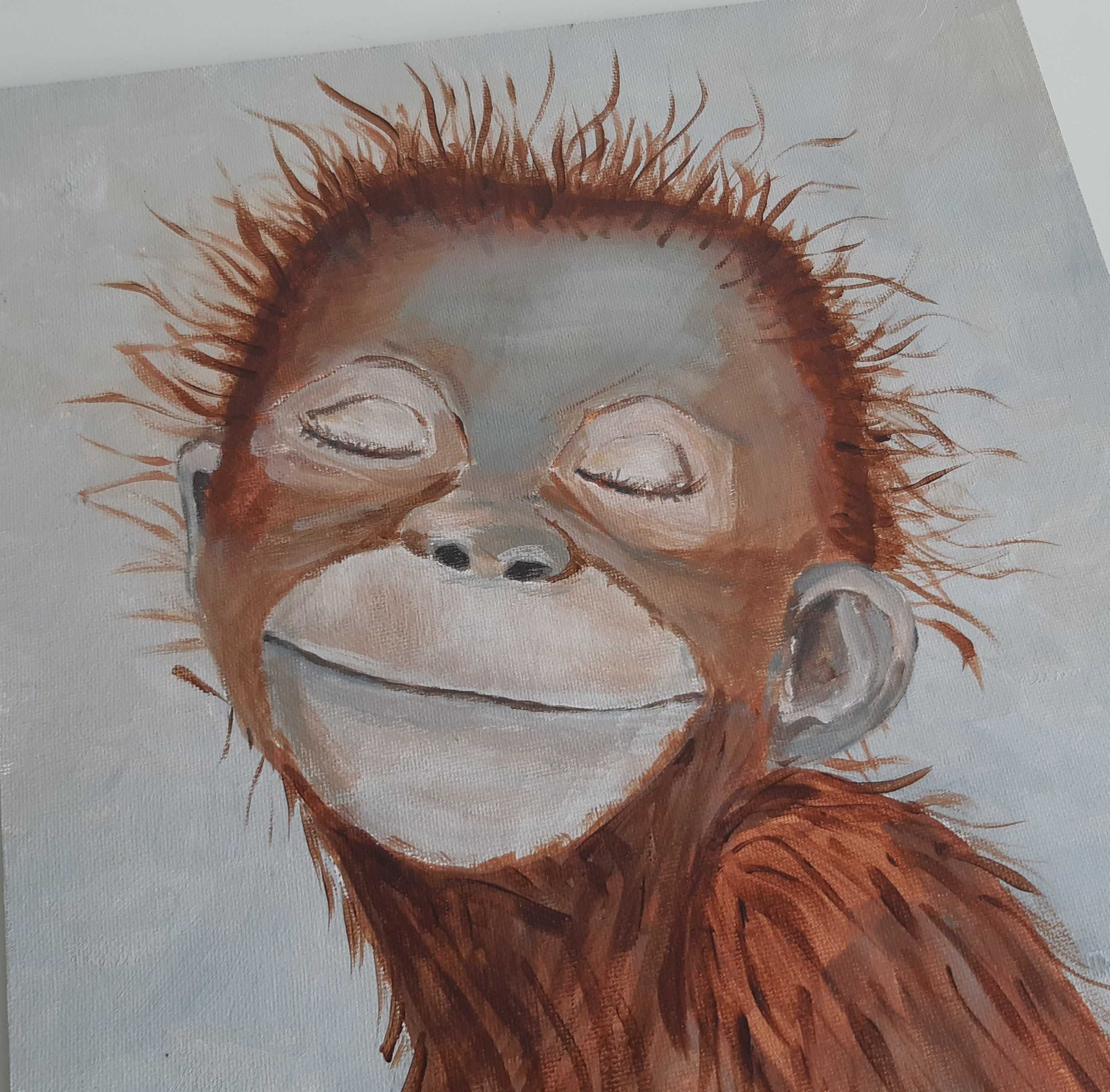 Quadro Macaquinho Pintura Acrílico Original 27x35cm Olga Baptista