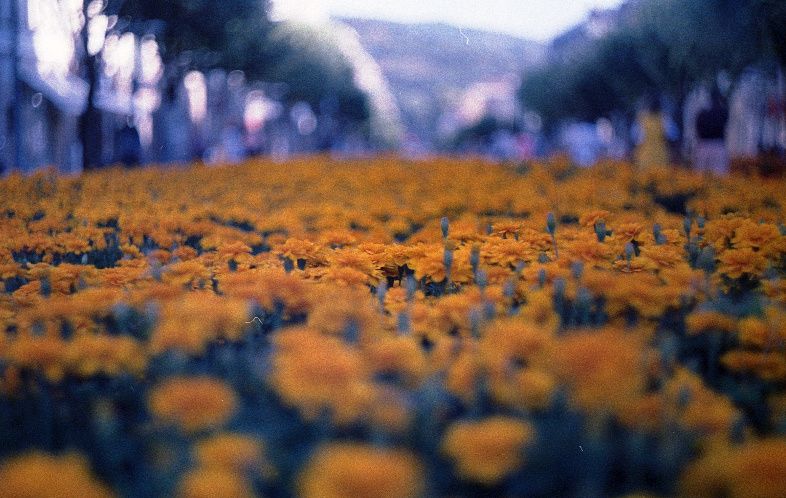 Rolo fotografico Perutz Primera 35mm Lomografia