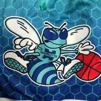 Charlotte Hornets retro 1988 Usa NBA dresy