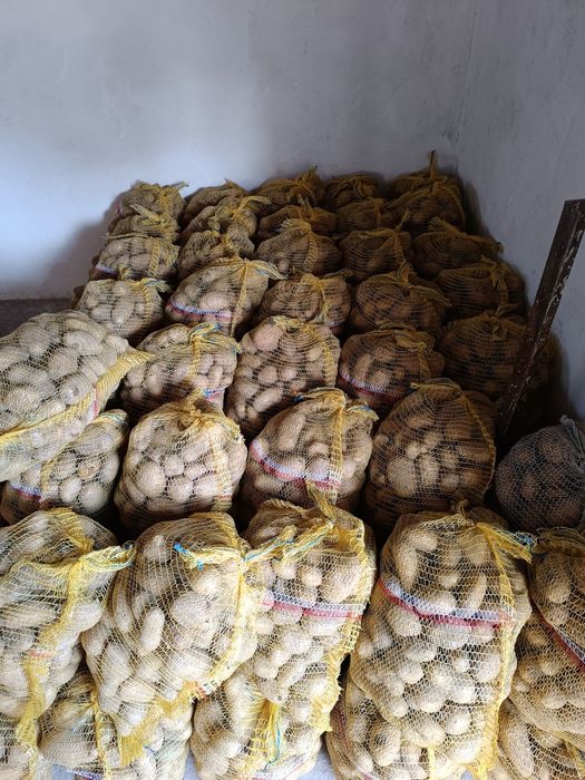 Sprzedam ziemniaki jadalne Catannia