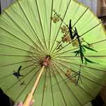 Parasol japoński