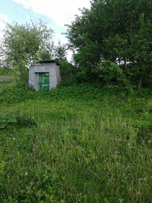 Житловий будинок