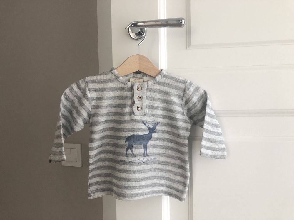 Bluzka Zara BabyBoy 3-6 miesięcy, 68 cm