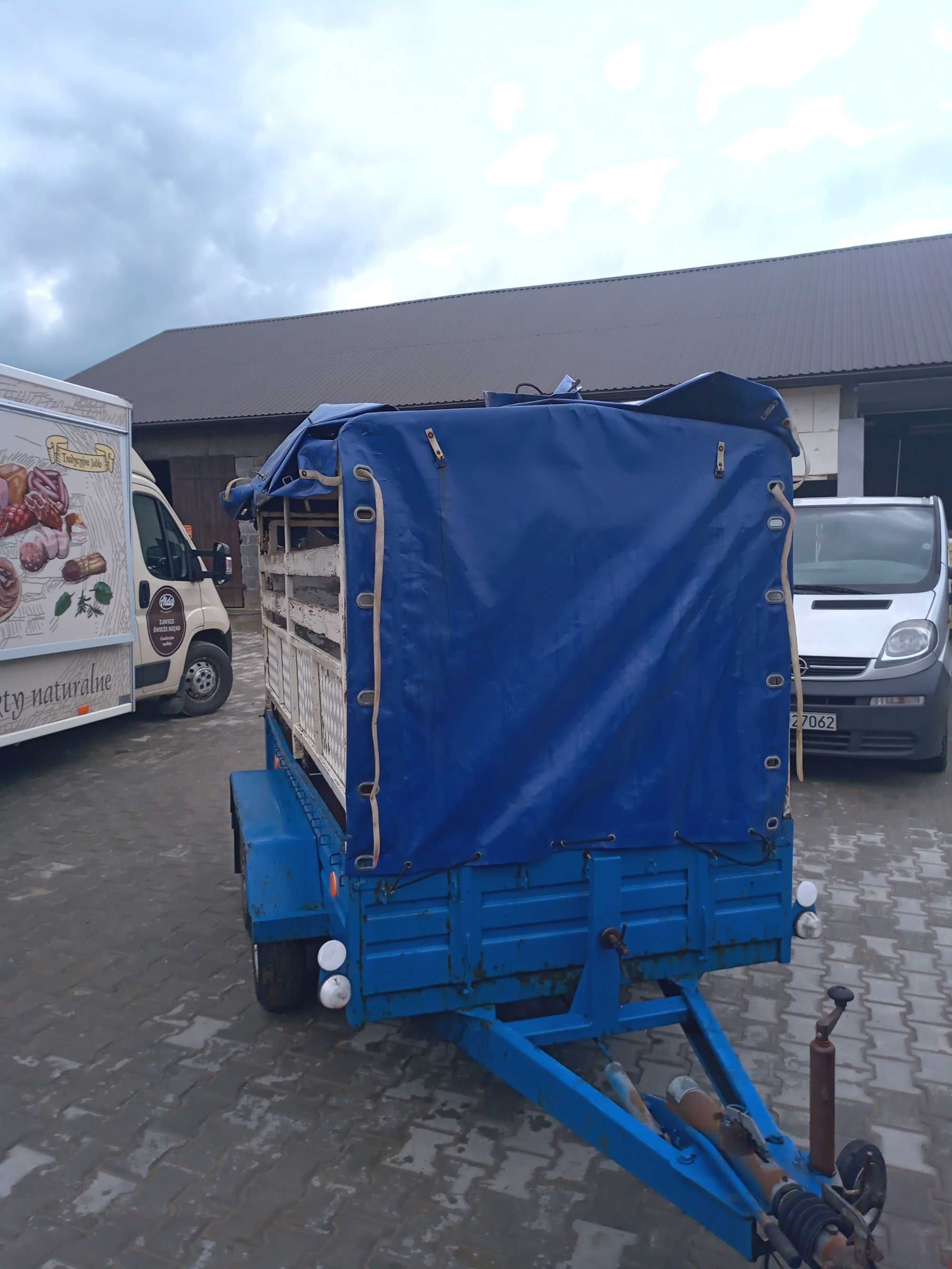 Przyczepka samochodowa do transportu zwierząt.