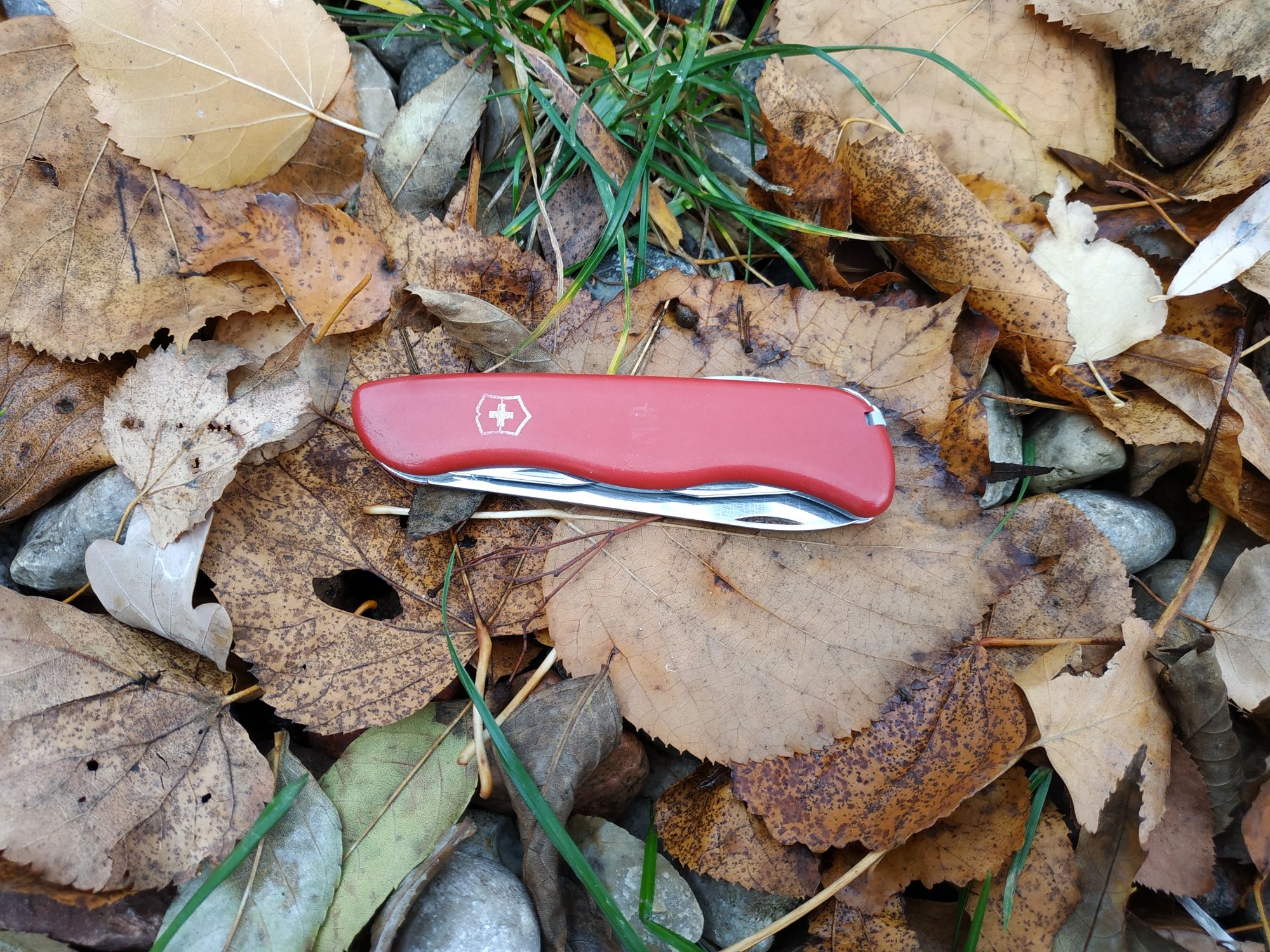 Scyzoryk Victorinox Picknicker