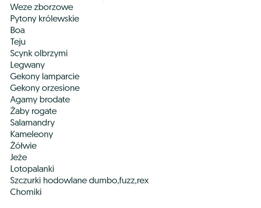 Jaszczurki weze zbozowy agama scynk teju gekon