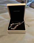 Pandora original Pulseira com Charms