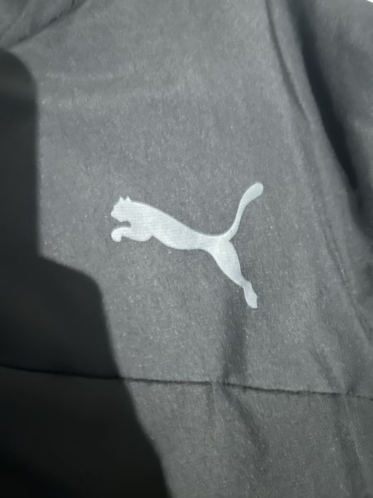 Casaco kispo puma