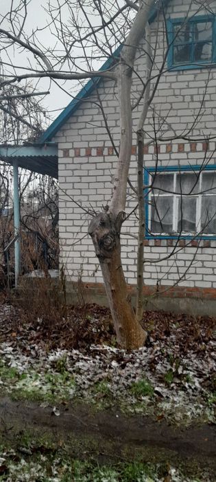 Продажа дачи Светловодск,  сады 3