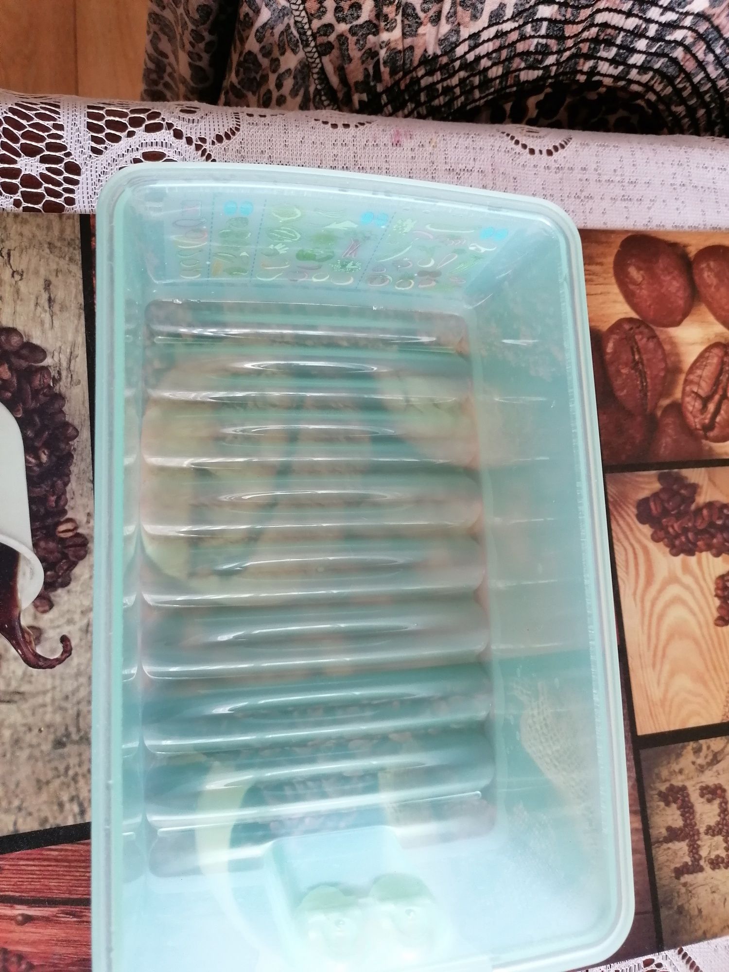 Pojemnik Tupperware szklarnia