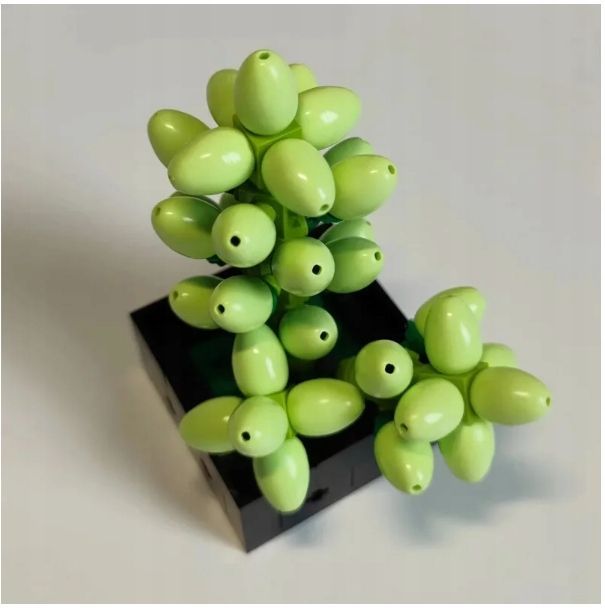 Klocki Sukulenty Botaniczna Kolekcja Konstrukcyjne 771 elementów