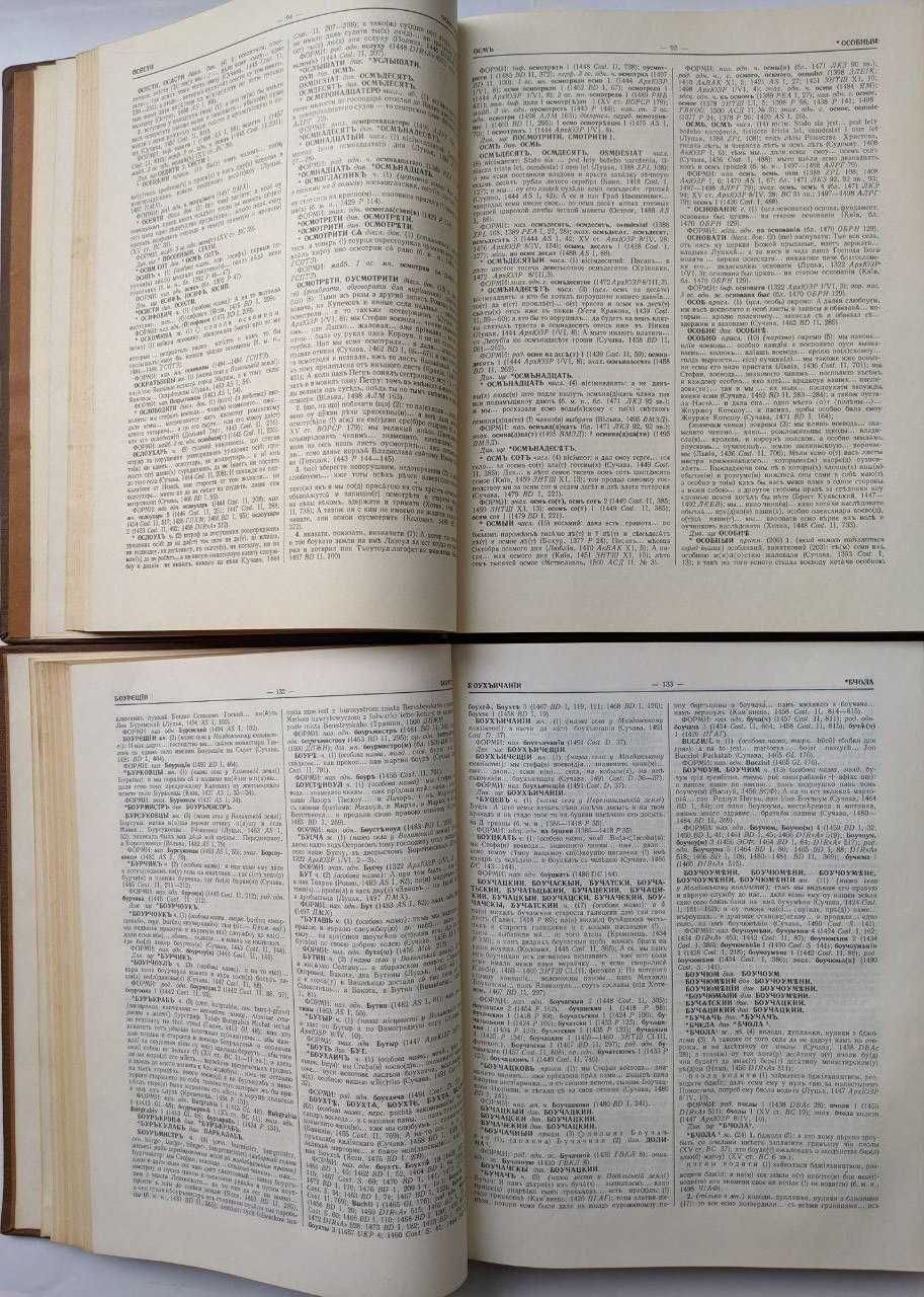 Словник староукраїнської мови XIV-XV у 2 томах. Староукраинский язык