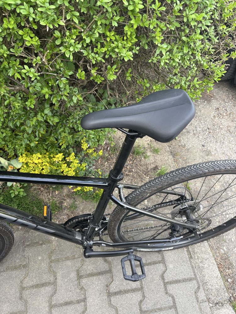 Rower Giant roam 2 czarny M