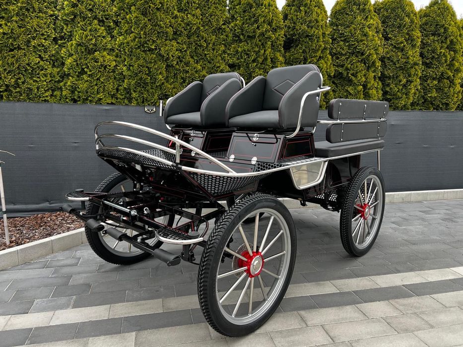 Powóz konny, bryczka, nauka jazdy