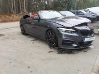 BMW 2 CABRIO (F23) - SALVADO