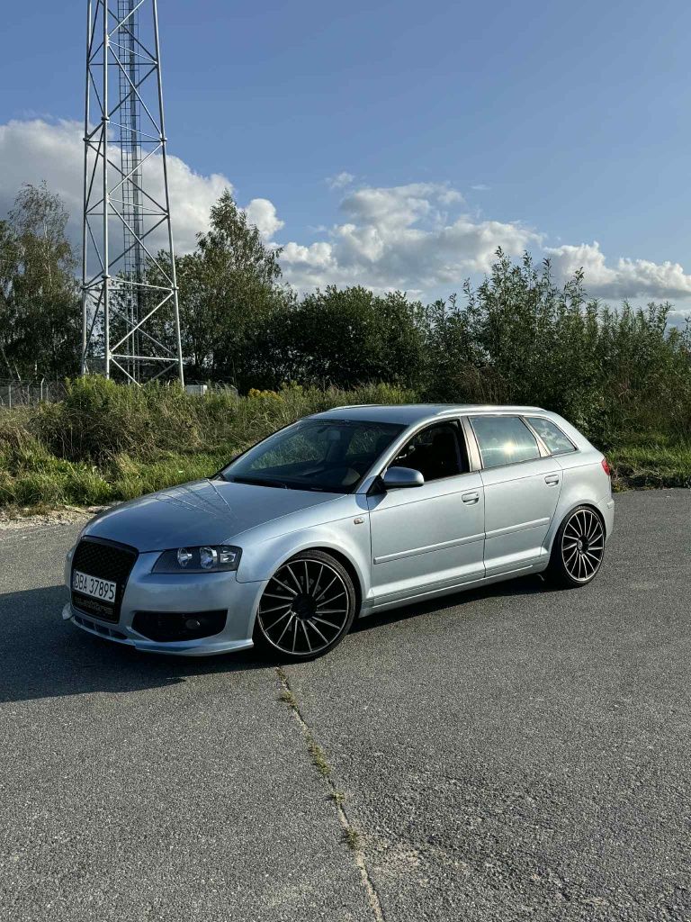 Audi A3 S3 2.0 Tfsi Quatro Downwipe Alu 19 Sportback