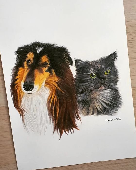 Retratos de animais