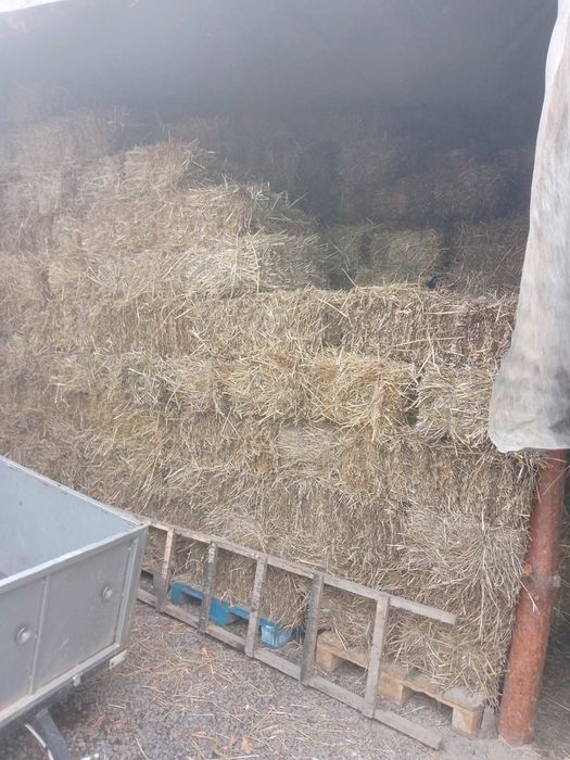Тюки сіна та соломи