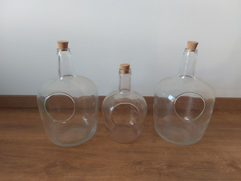 3 vasos para terrários