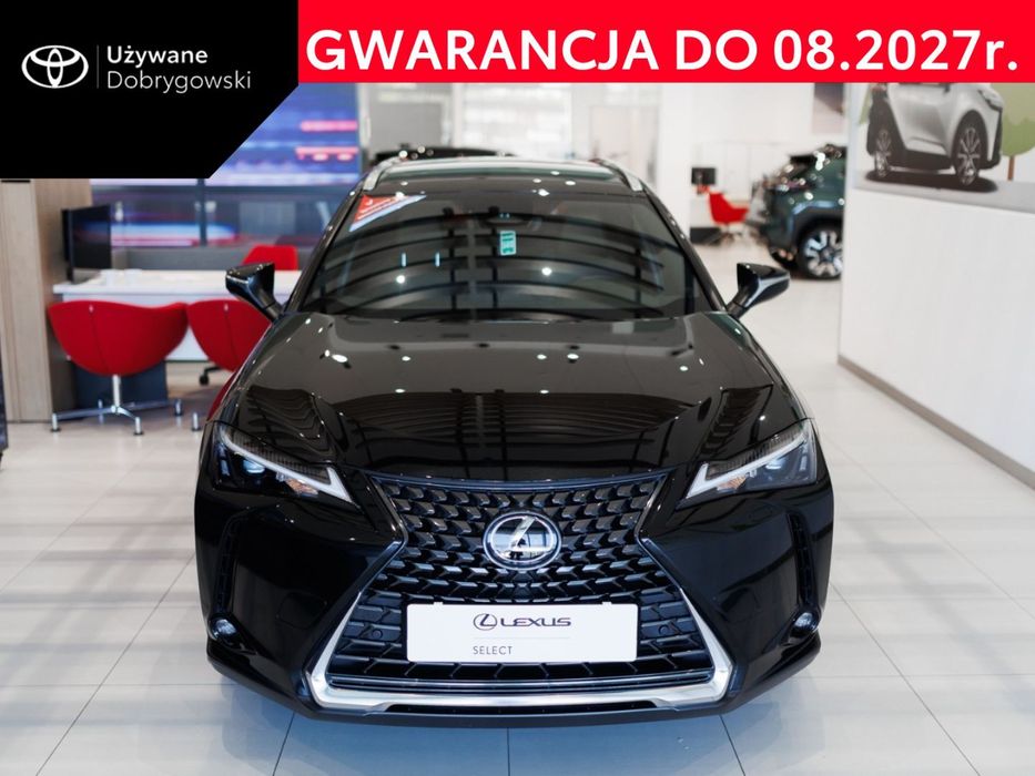 Lexus UX 300h Business