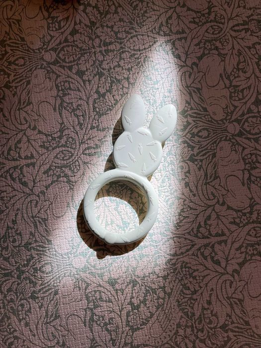 Mordedor Munchkin - Coelho