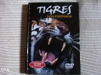 Tigres dos Pantanos