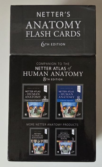 Flash cards Netter