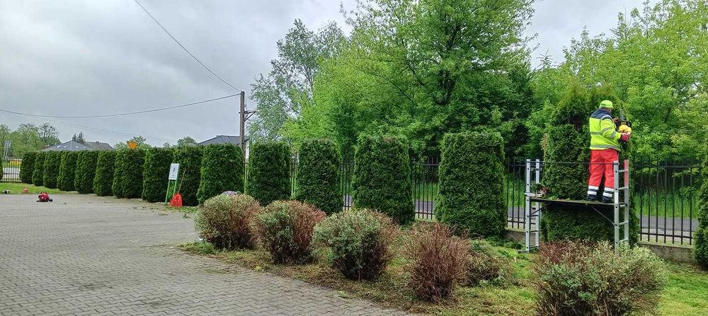 Usługi ogrodnicze wynajem maszyn ogrodniczych