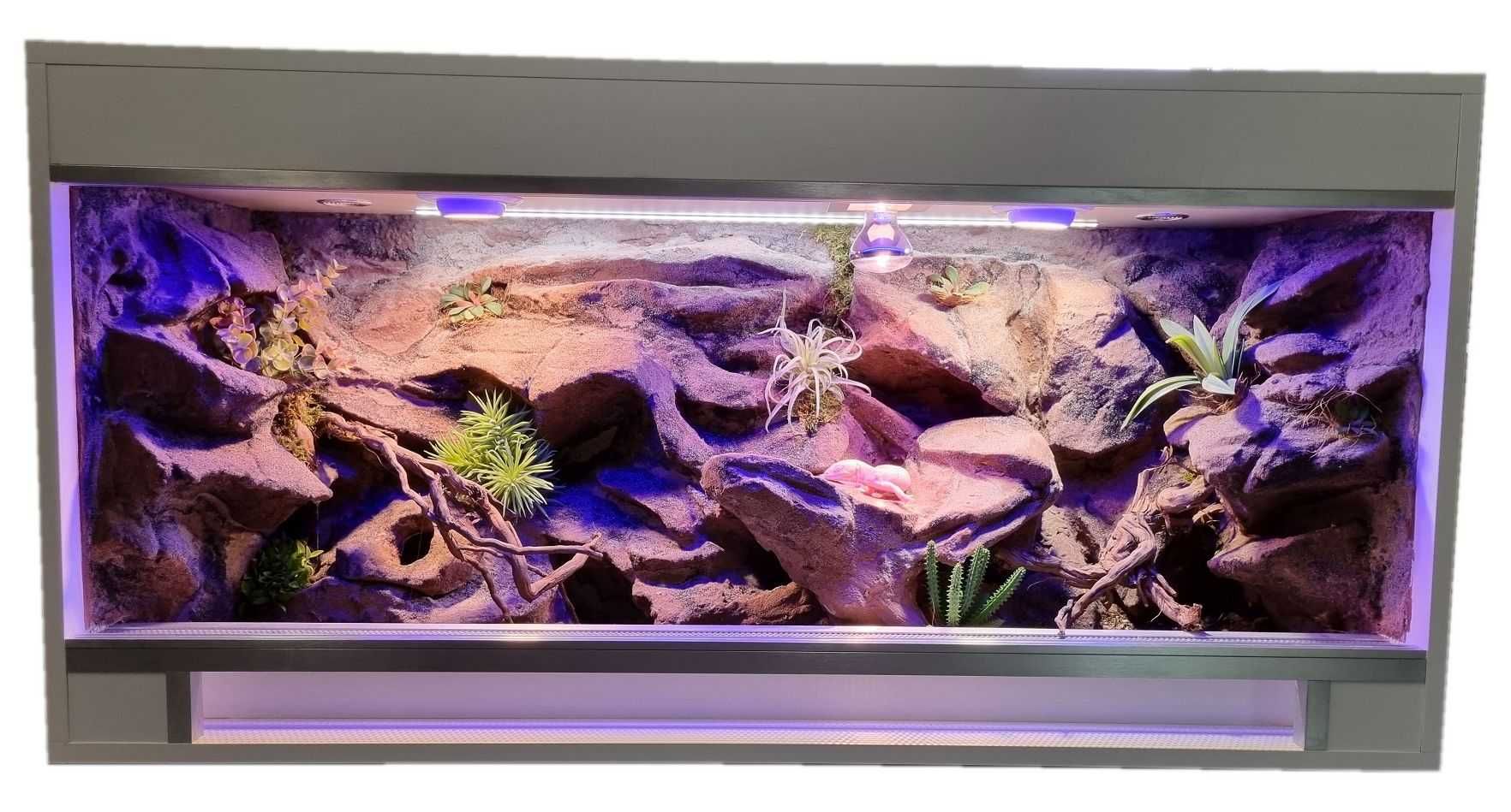 Terrarium dla gekona lamparciego na zamówienie