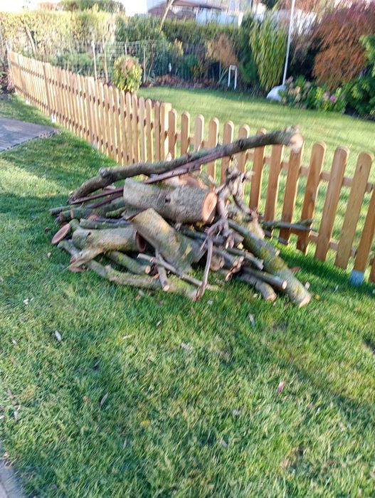 Drewno opałowe orzech