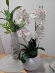 Orchidea storczyk doniczka porcelana