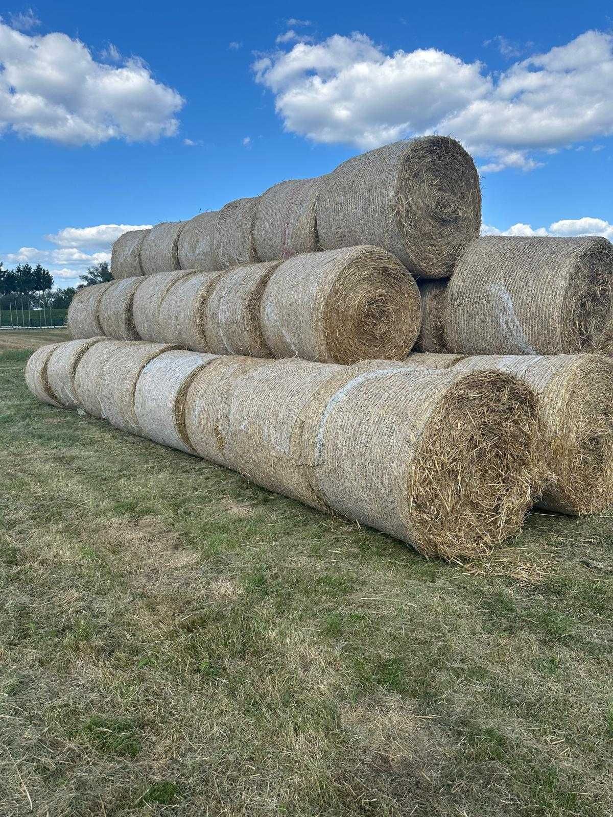 Sprzedam Słomę Pszenną w Belach z Pola  Sucha ZAŁADUNEK GRATIS